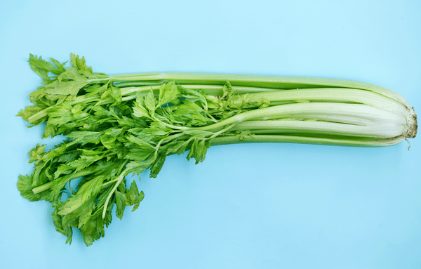 Celery juice – sweet benefits from a bitter glassful